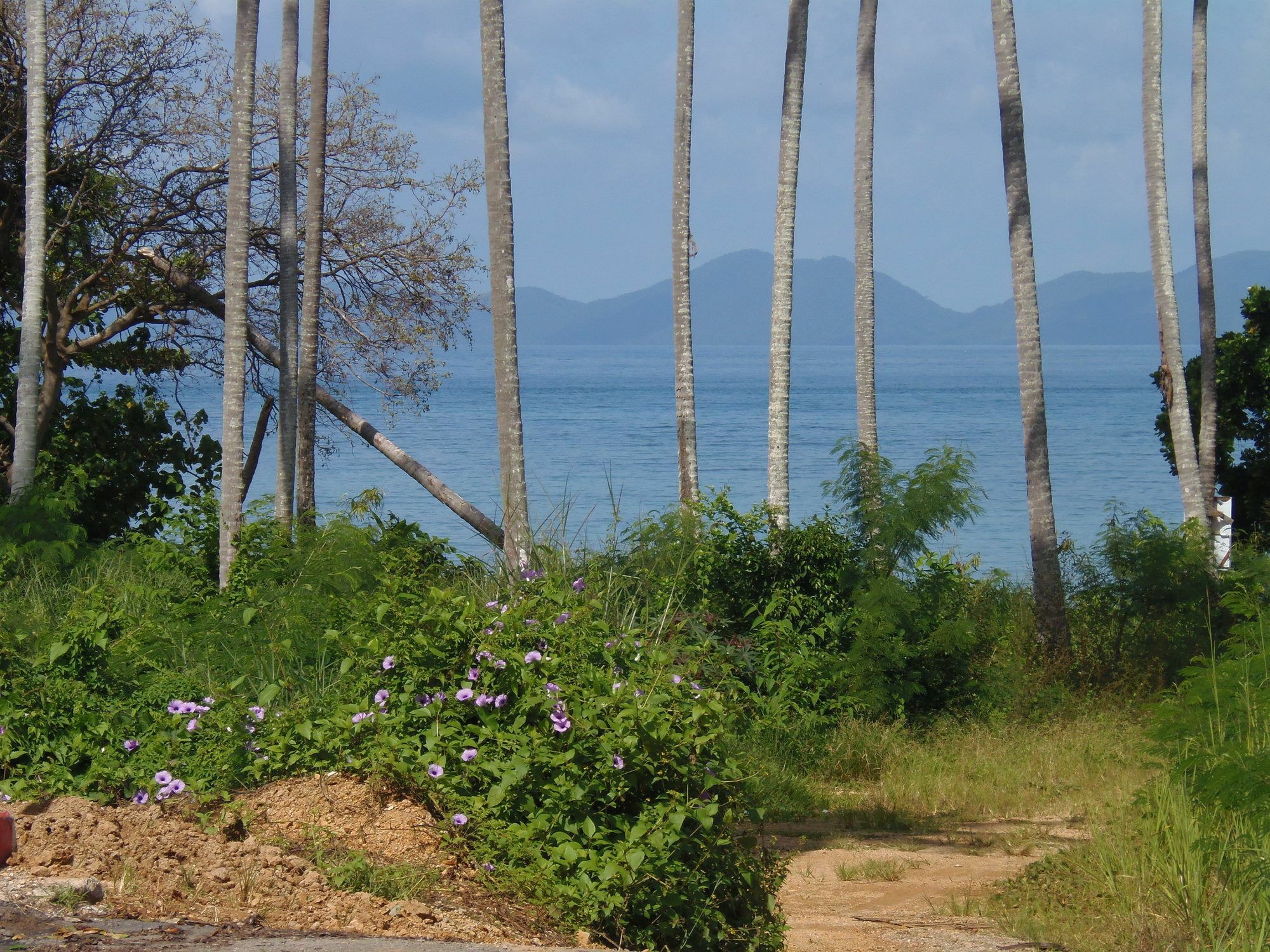 Elephants End Guesthouse Krabi Ao Nang Eksteriør billede